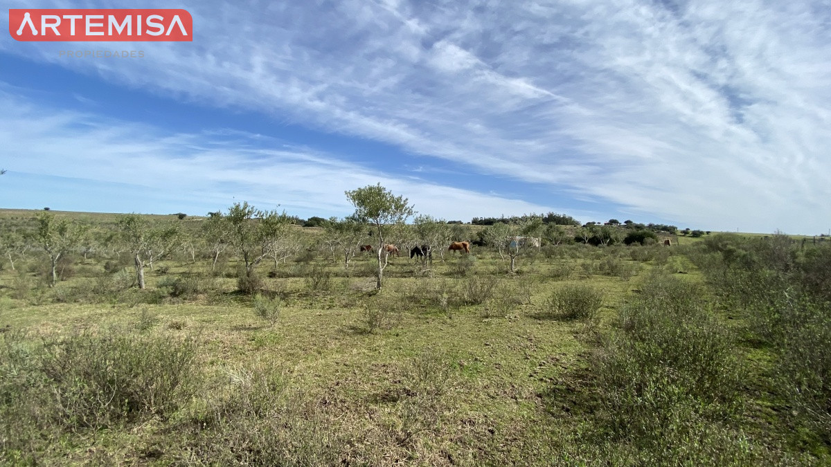 Chacra ID.467 - Oportunidad en Paraje Las Cañas !!!  