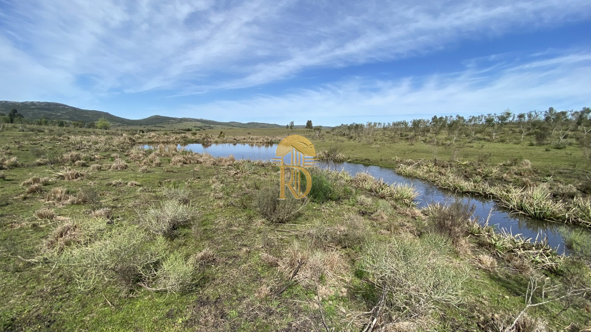 Oportunidad en Paraje Las Cañas !!!   -id-1069-8