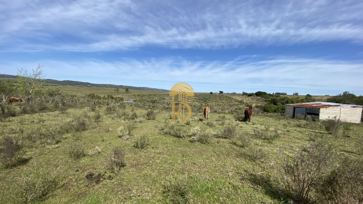 Oportunidad en Paraje Las Cañas !!!   -id-1069-15
