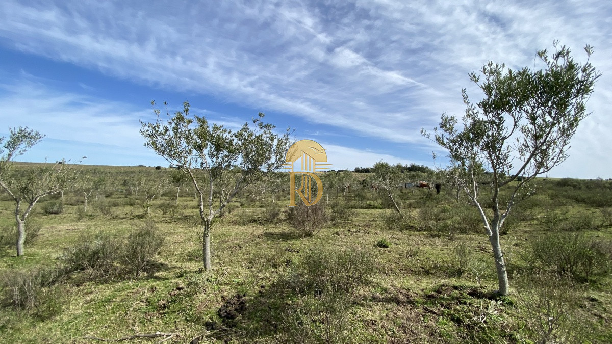 Oportunidad en Paraje Las Cañas !!!   -id-1069-18