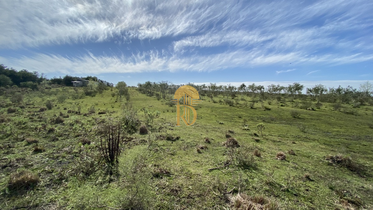 Oportunidad en Paraje Las Cañas !!!   -id-1069-5
