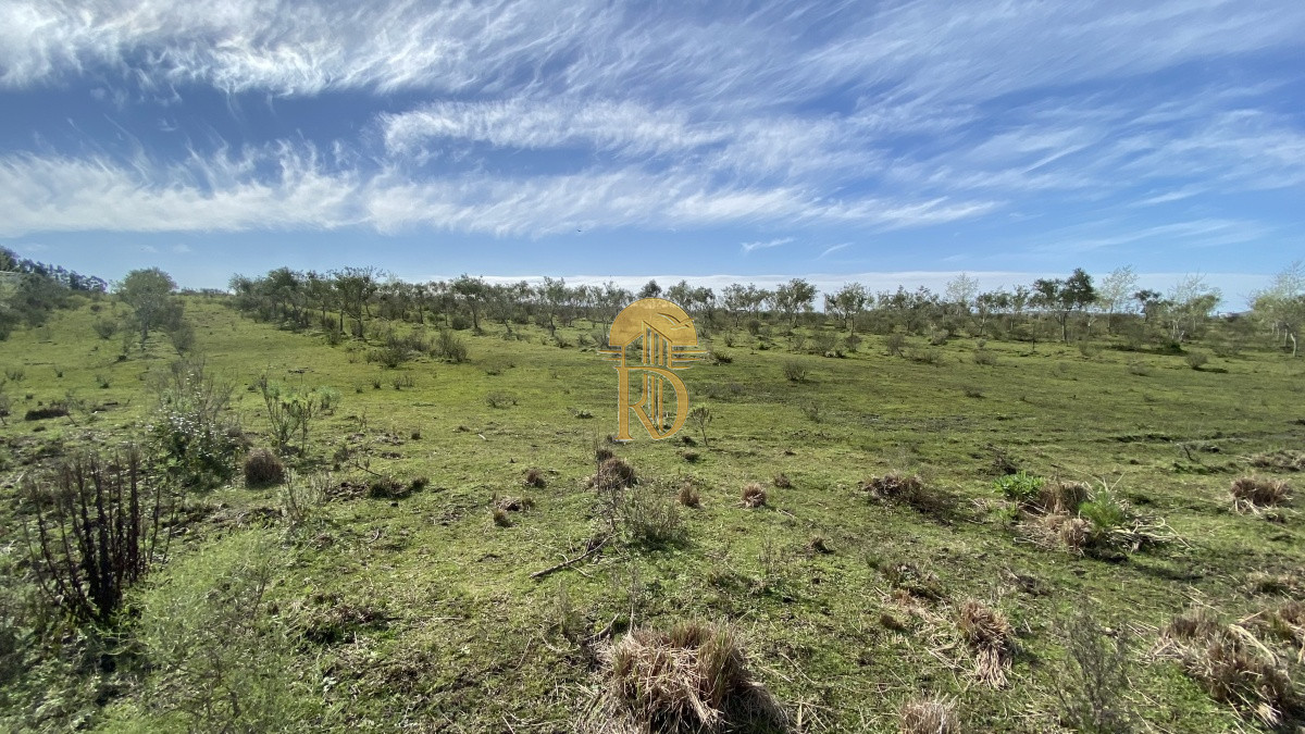 Oportunidad en Paraje Las Cañas !!!   -id-1069-6