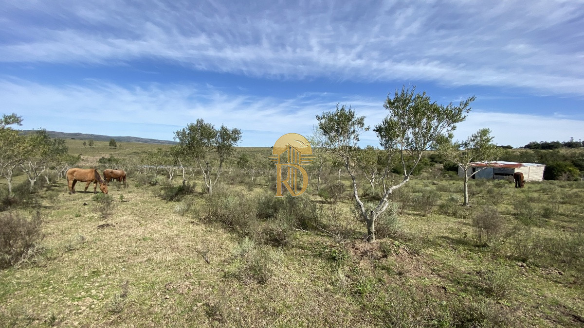 Oportunidad en Paraje Las Cañas !!!   -id-1069-14