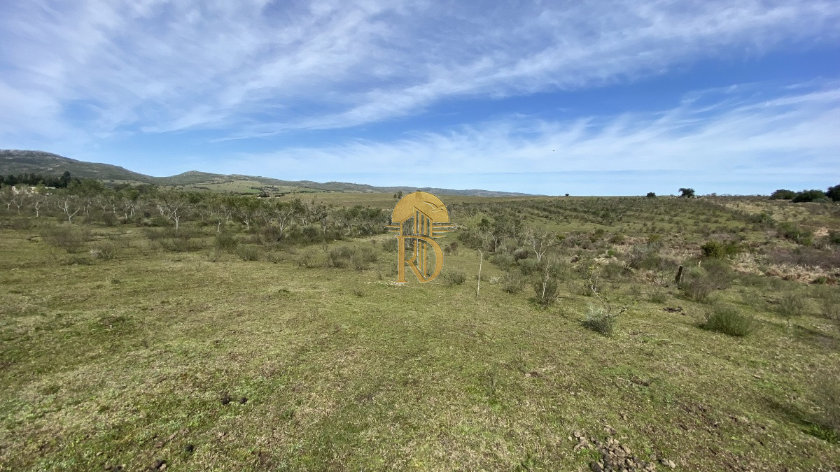 Oportunidad en Paraje Las Cañas !!!   -id-1069-12
