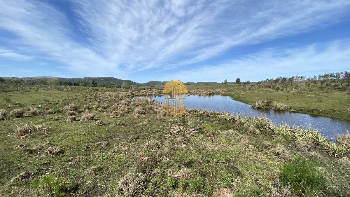 Oportunidad en Paraje Las Cañas !!!   -id-1069-9