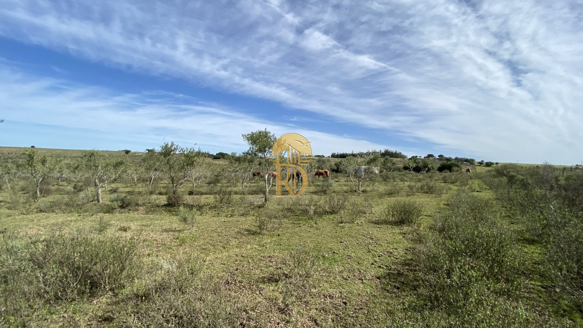 Oportunidad en Paraje Las Cañas !!!   -id-1069-13