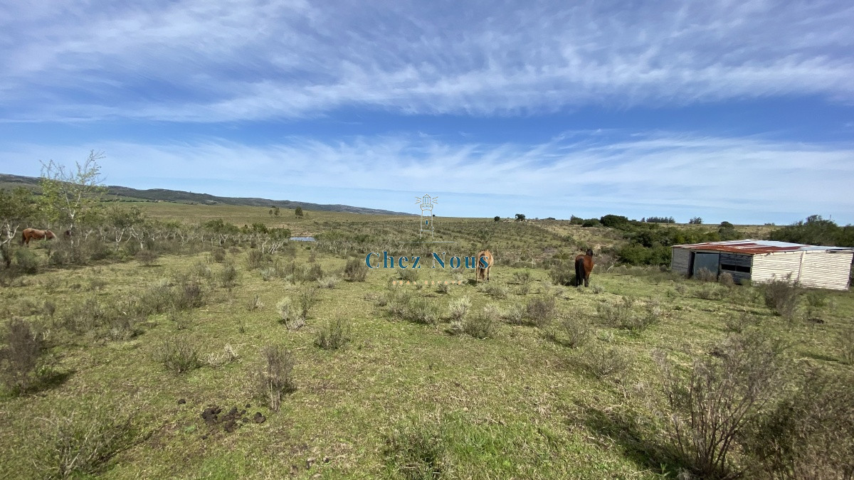 Chacra ID.1173 - Oportunidad en Paraje Las Cañas !!!  