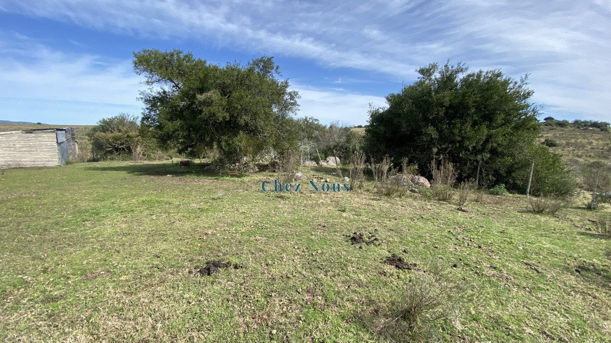 Chacra ID.1173 - Oportunidad en Paraje Las Cañas !!!  
