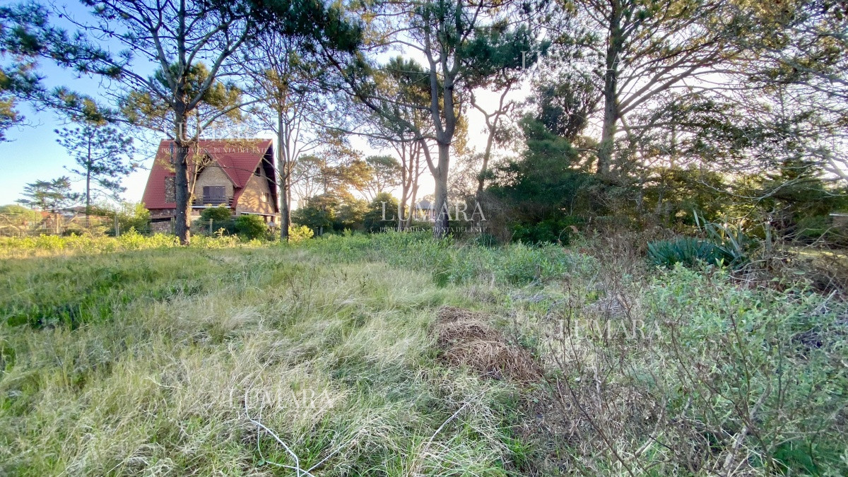 Terreno ID.3380 - Terreno en Venta - Pinares