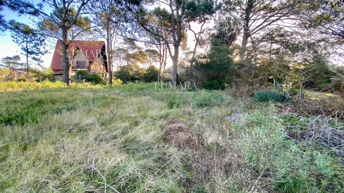 Terreno ID.3380 - Terreno en Venta - Pinares