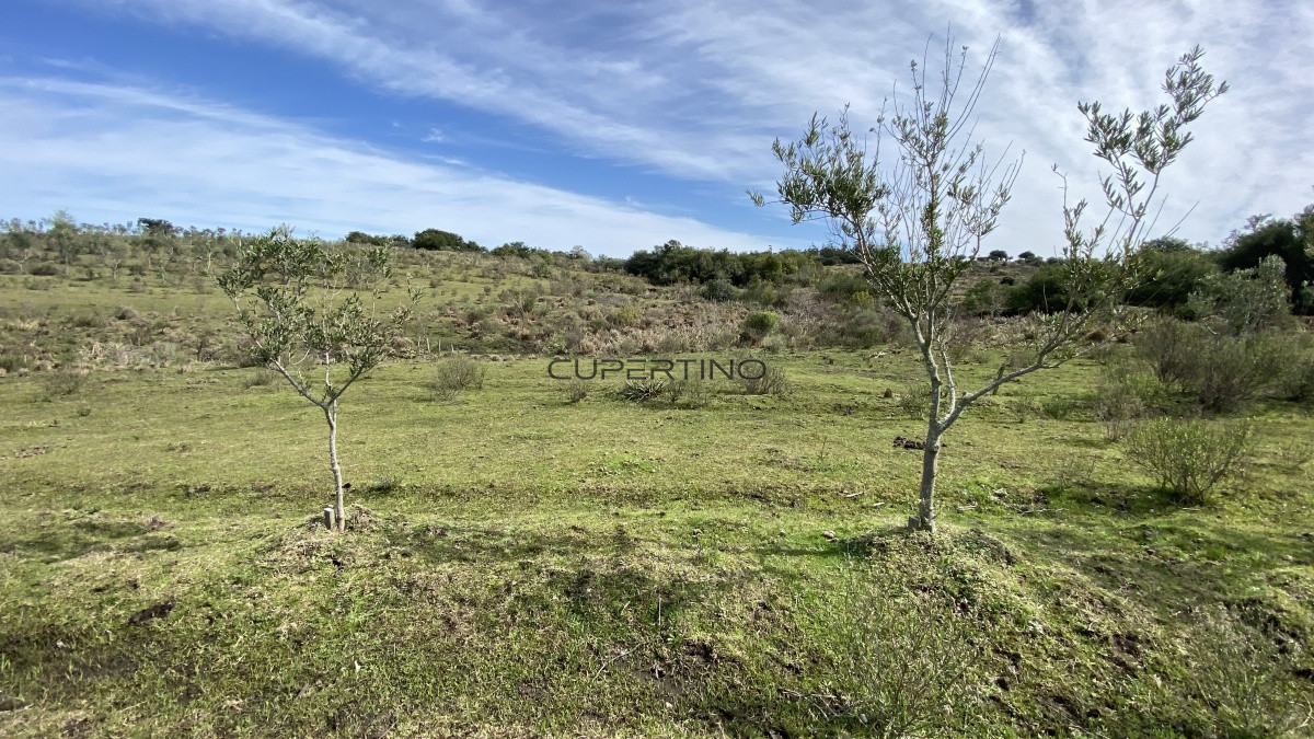 Oportunidad en Paraje Las Cañas !!! — foto 12