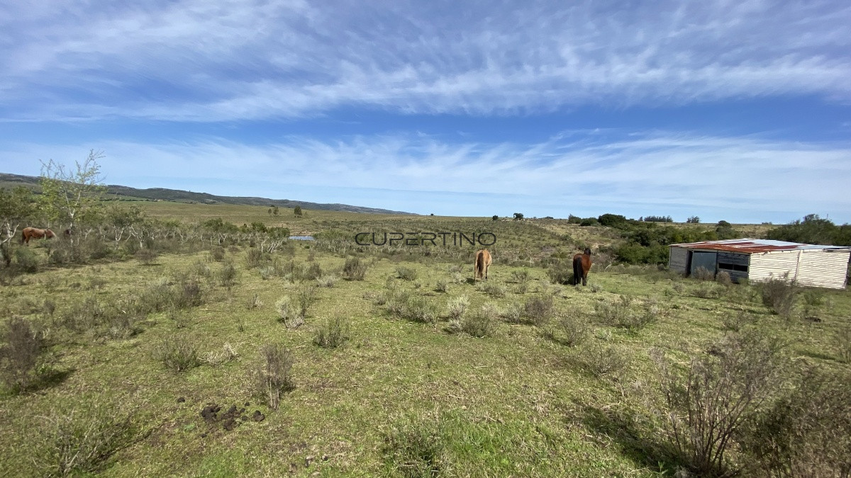 Oportunidad en Paraje Las Cañas !!! — foto 16