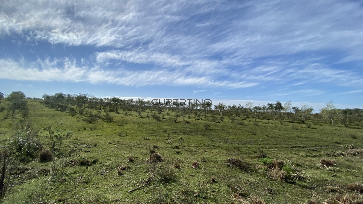 Oportunidad en Paraje Las Cañas !!! — foto 5