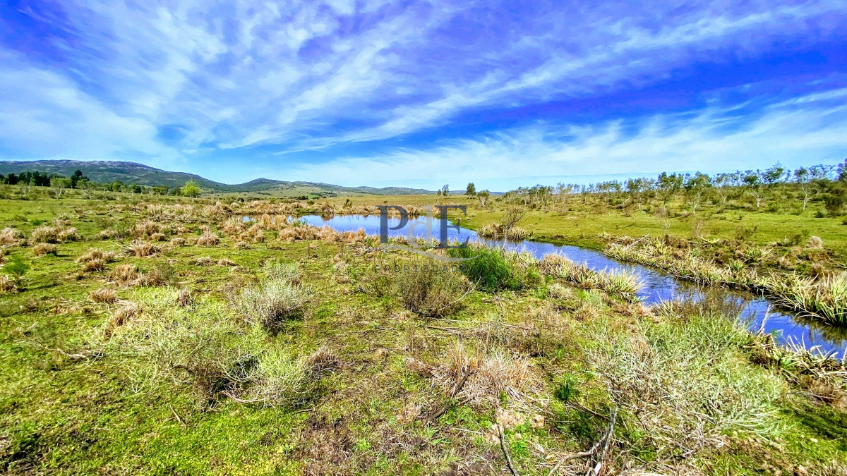 Oportunidad en Paraje Las Cañas. Maldonado. - Imagen 1