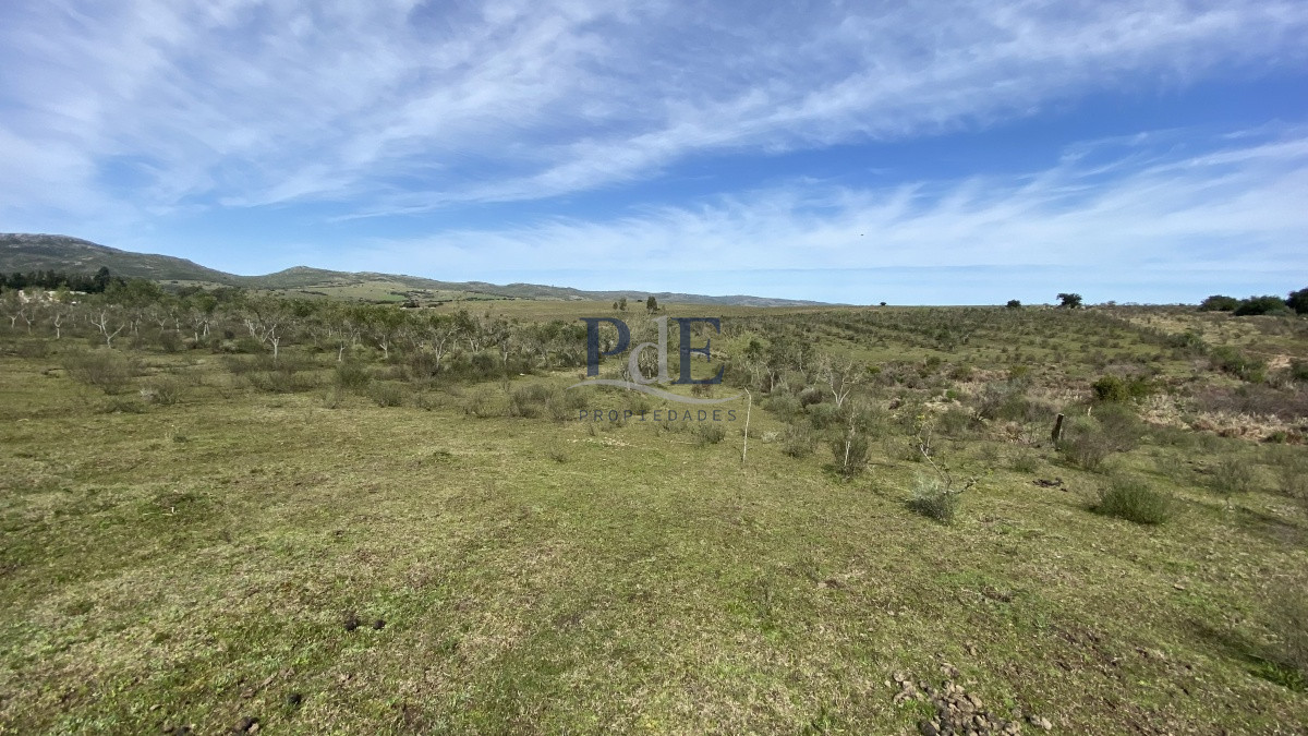 Oportunidad en Paraje Las Cañas. Maldonado. - Imagen 13