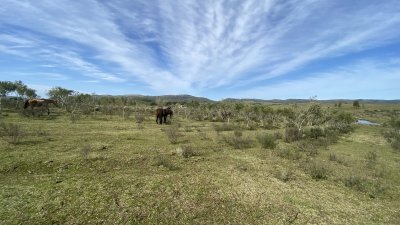 oportunidad en paraje las cañas !!!   - ivp7100h