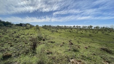 oportunidad en paraje las cañas !!!   - ivp7100h