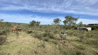 oportunidad en paraje las cañas !!!   - ivp7100h
