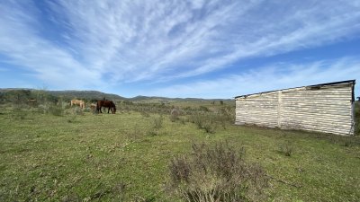 oportunidad en paraje las cañas !!!   - ivp7100h