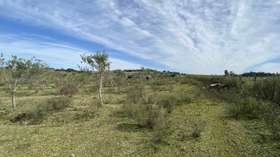 oportunidad en paraje las cañas !!!   - ivp7100h