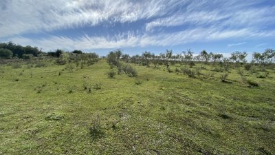 oportunidad en paraje las cañas !!!   - ivp7100h