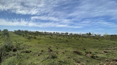 oportunidad en paraje las cañas !!!   - ivp7100h
