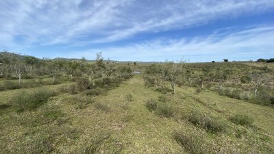 oportunidad en paraje las cañas !!!   - ivp7100h