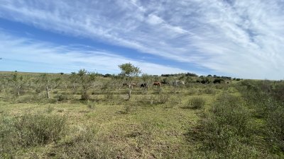 oportunidad en paraje las cañas !!!   - ivp7100h