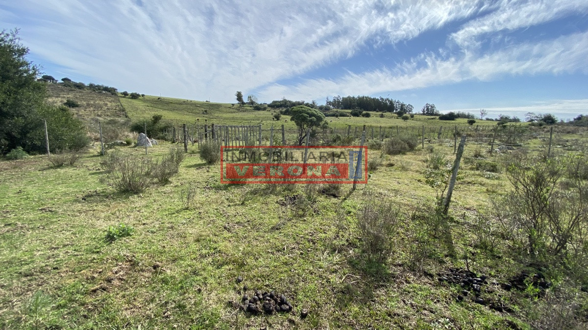 Oportunidad en Paraje Las Cañas !!!   - IVP7100H