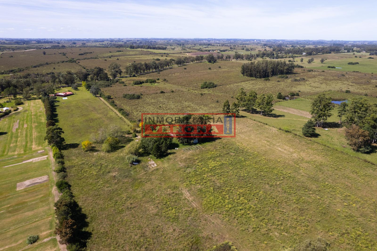Camino de los Ceibos - GoPunta - Portal Inmobiliario de Punta del Este - Maldonado
