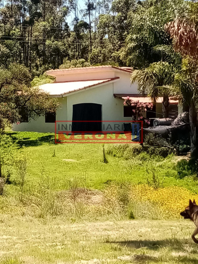 Ruta - GoPunta - Portal Inmobiliario de Punta del Este - Maldonado