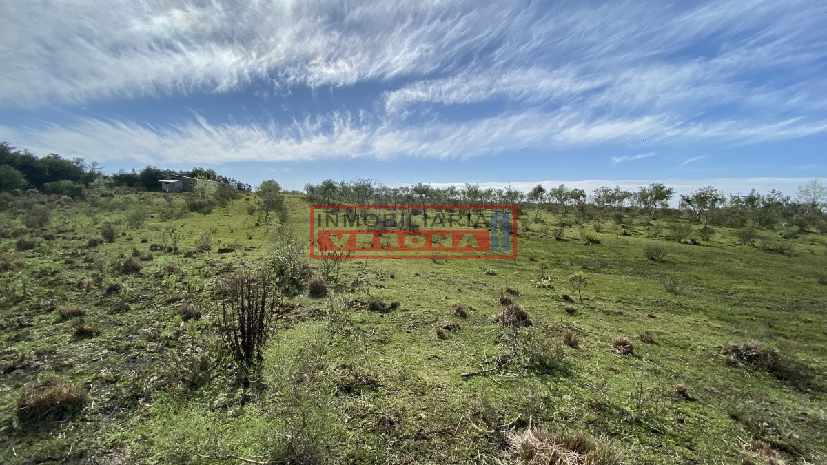 Las Cañas - GoPunta - Portal Inmobiliario de Punta del Este - Maldonado