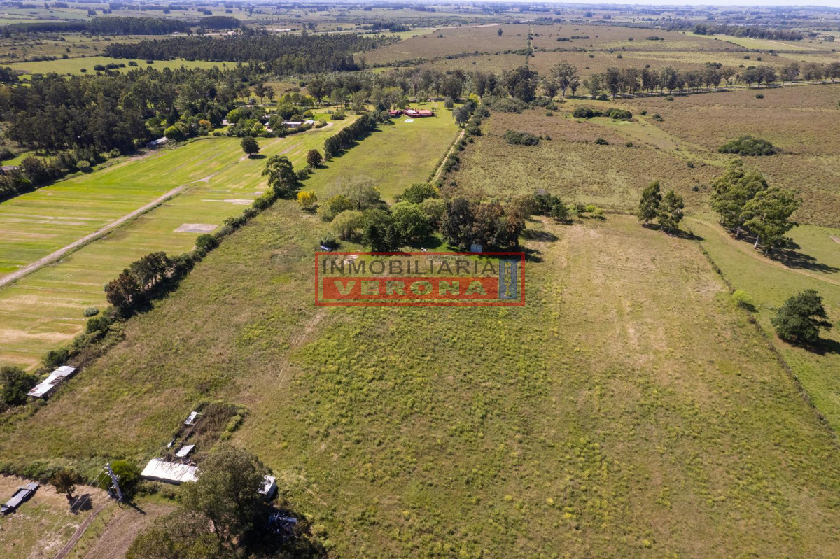 Camino de los Ceibos - GoPunta - Portal Inmobiliario de Punta del Este - Maldonado