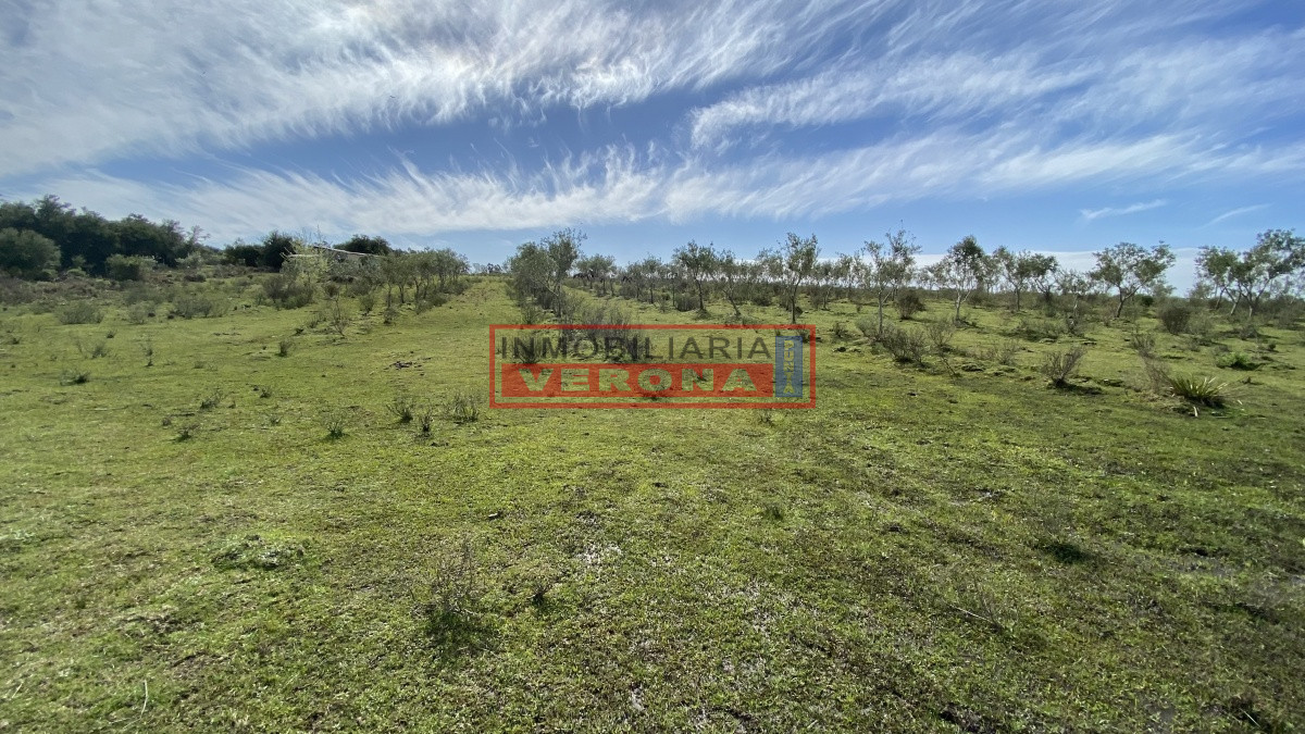 Las Cañas - GoPunta - Portal Inmobiliario de Punta del Este - Maldonado
