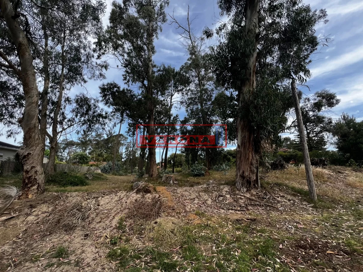 Terreno en MARLY - Entorno Residencial - IVP8055T