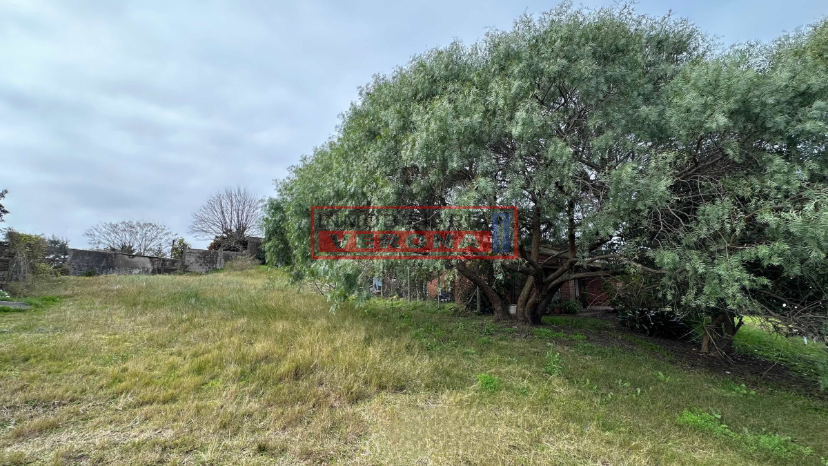 SE VENDE TERRENO EN PUNTA DEL ESTE - IVP9006T