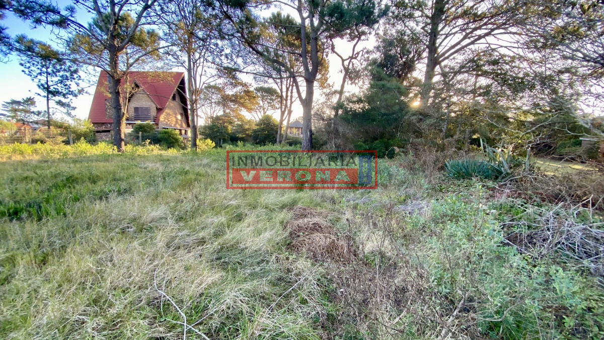 Terreno en Venta - Pinares - IVP7457T
