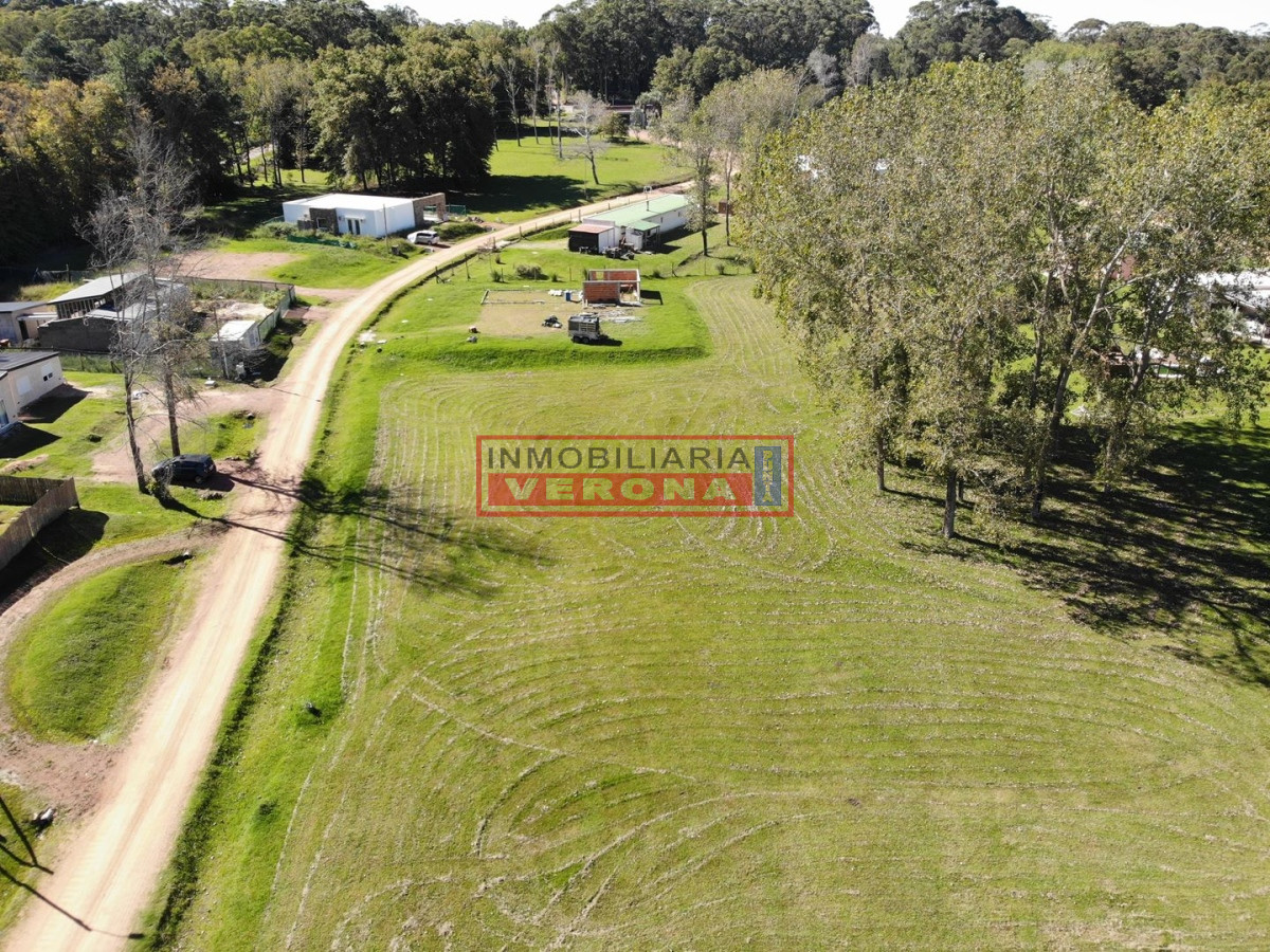 Punta Ballena - GoPunta - Portal Inmobiliario de Punta del Este - Maldonado