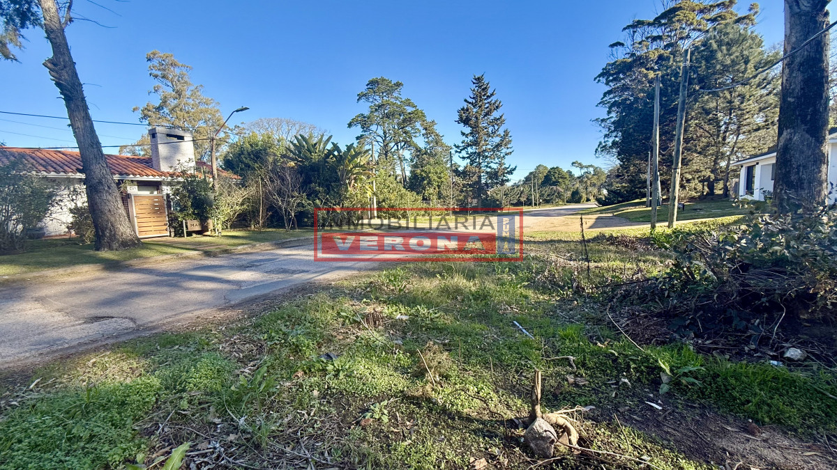 Pinares - GoPunta - Portal Inmobiliario de Punta del Este - Maldonado