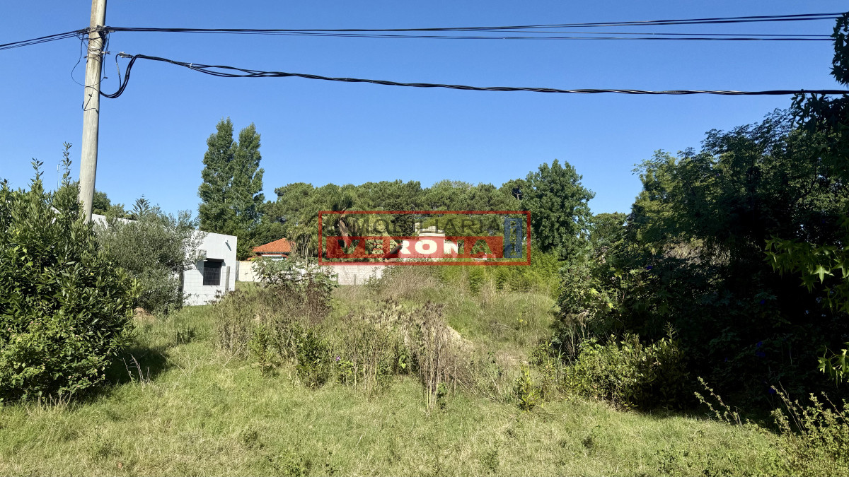 Propiedad - GoPunta - Portal Inmobiliario de Punta del Este - Maldonado