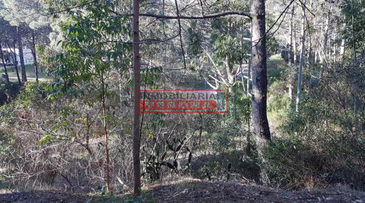 Club del Lago - GoPunta - Portal Inmobiliario de Punta del Este - Maldonado