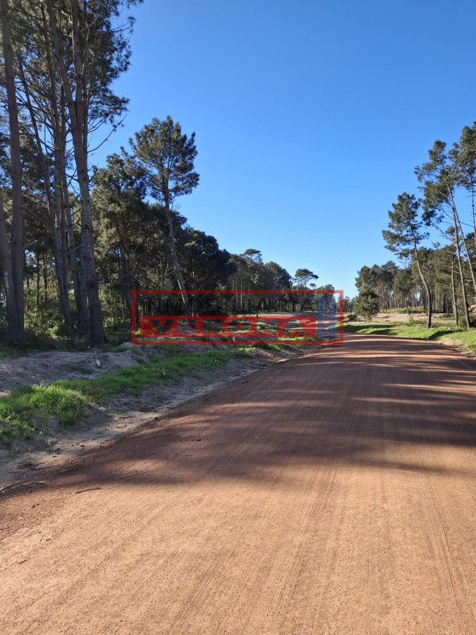Pinares - GoPunta - Portal Inmobiliario de Punta del Este - Maldonado