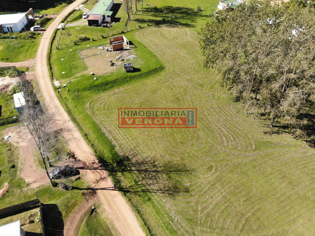 Punta Ballena - GoPunta - Portal Inmobiliario de Punta del Este - Maldonado