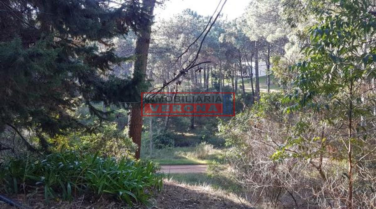 Club del Lago - GoPunta - Portal Inmobiliario de Punta del Este - Maldonado