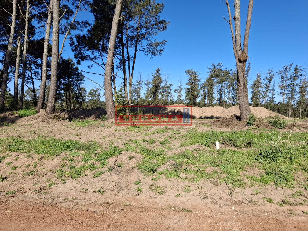 Pinares - GoPunta - Portal Inmobiliario de Punta del Este - Maldonado