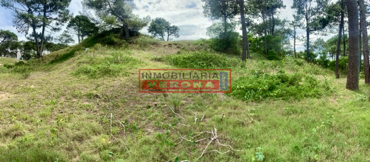 Rincón del Indio - GoPunta - Portal Inmobiliario de Punta del Este - Maldonado