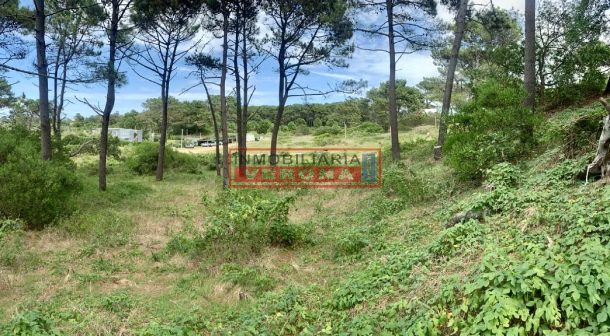 Rincón del Indio - GoPunta - Portal Inmobiliario de Punta del Este - Maldonado