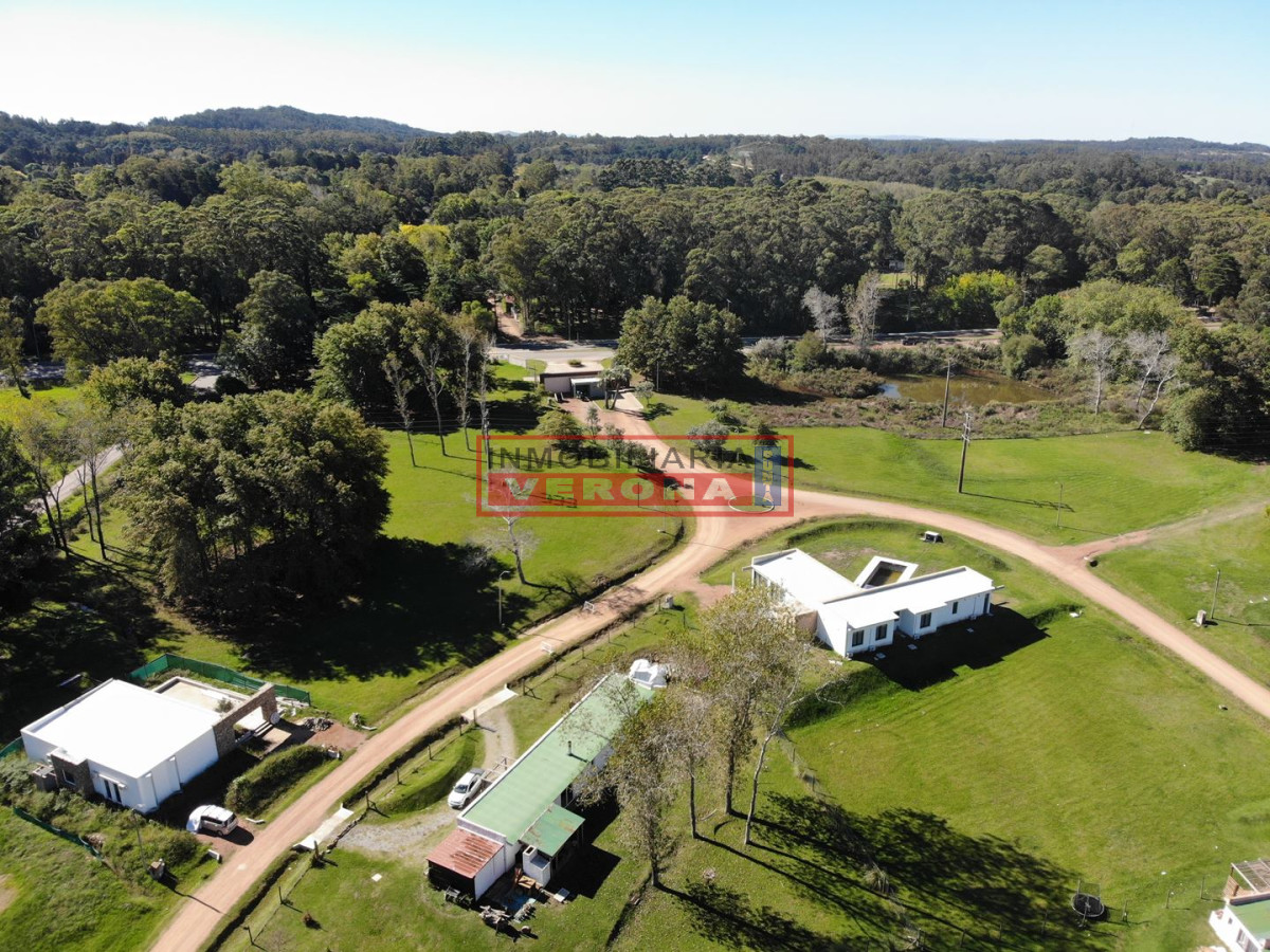 Punta Ballena - GoPunta - Portal Inmobiliario de Punta del Este - Maldonado