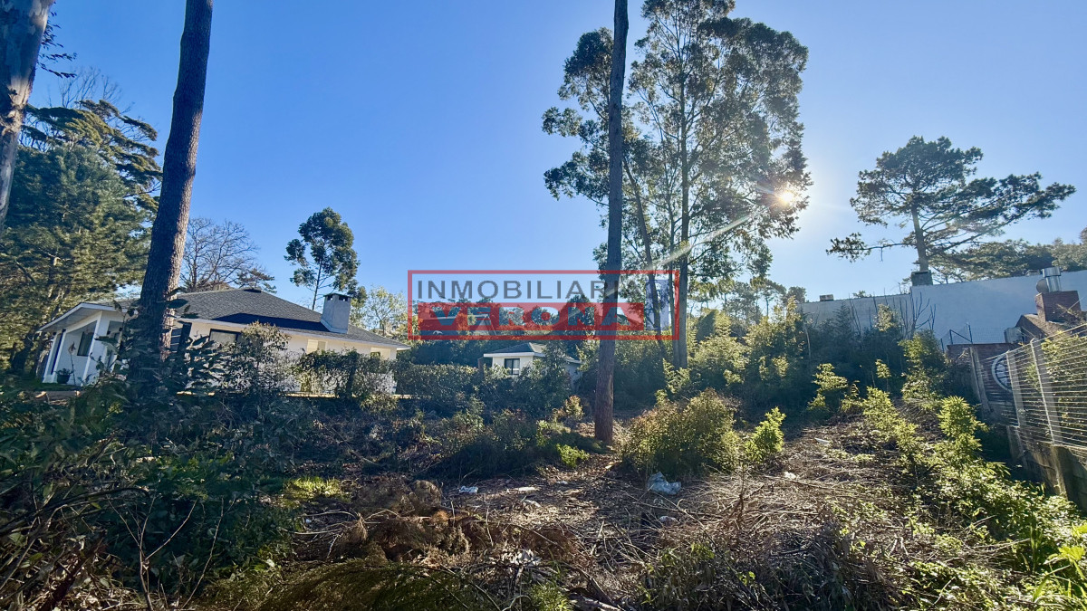 Pinares - GoPunta - Portal Inmobiliario de Punta del Este - Maldonado