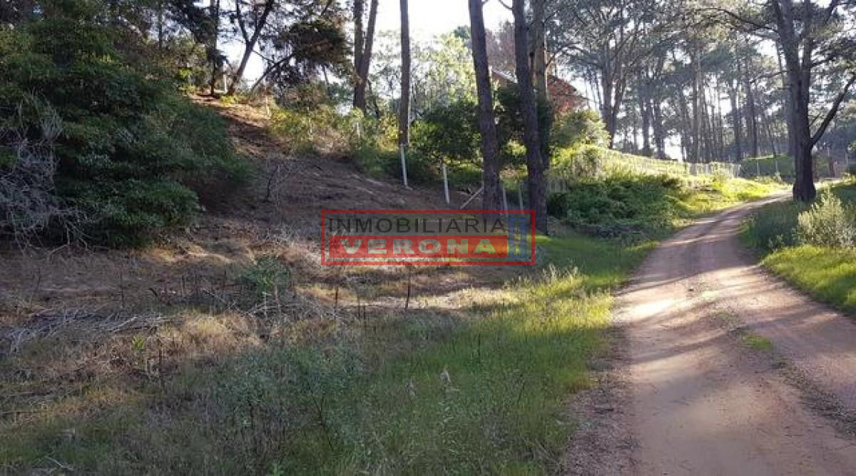 Club del Lago - GoPunta - Portal Inmobiliario de Punta del Este - Maldonado